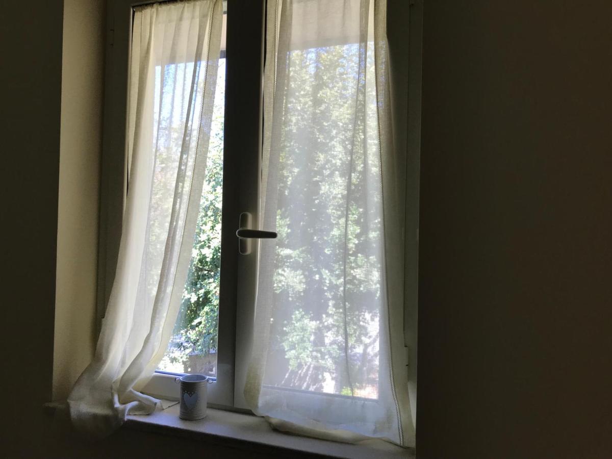 B&B Villa Degli Ulivi Praia a Mare Kültér fotó