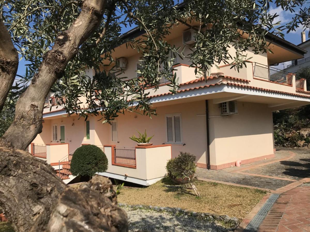 B&B Villa Degli Ulivi Praia a Mare Kültér fotó