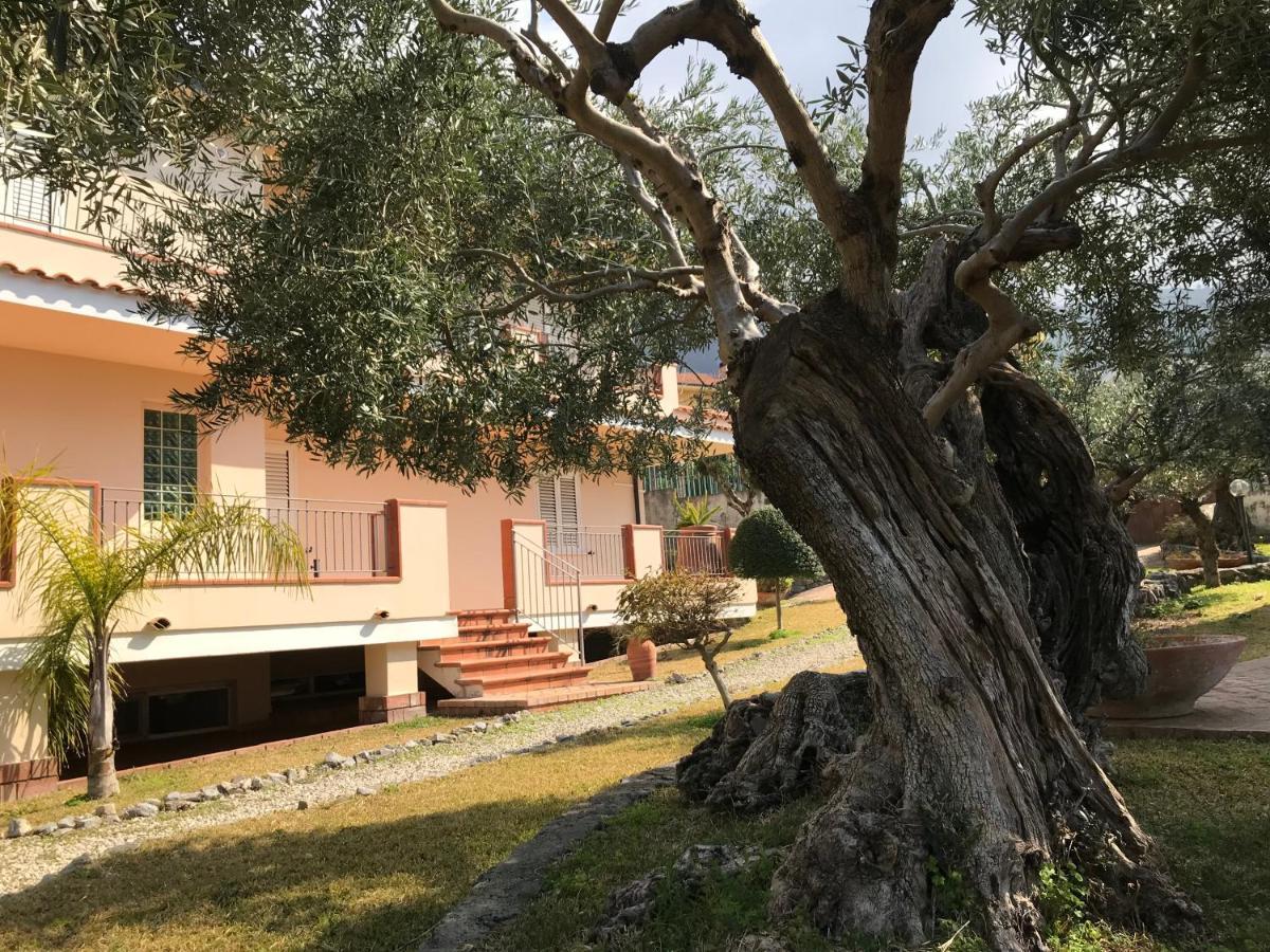 B&B Villa Degli Ulivi Praia a Mare Kültér fotó