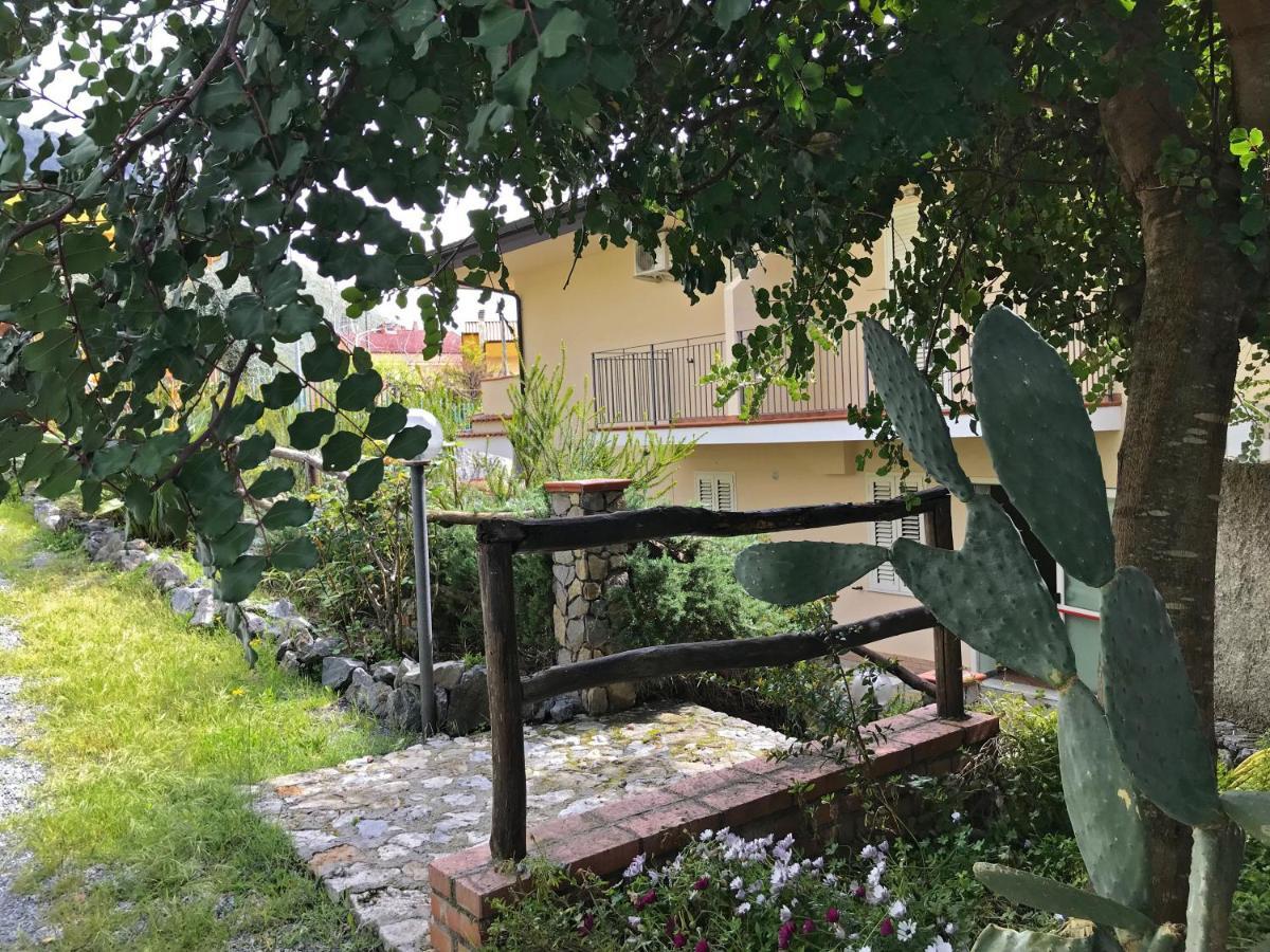 B&B Villa Degli Ulivi Praia a Mare Kültér fotó