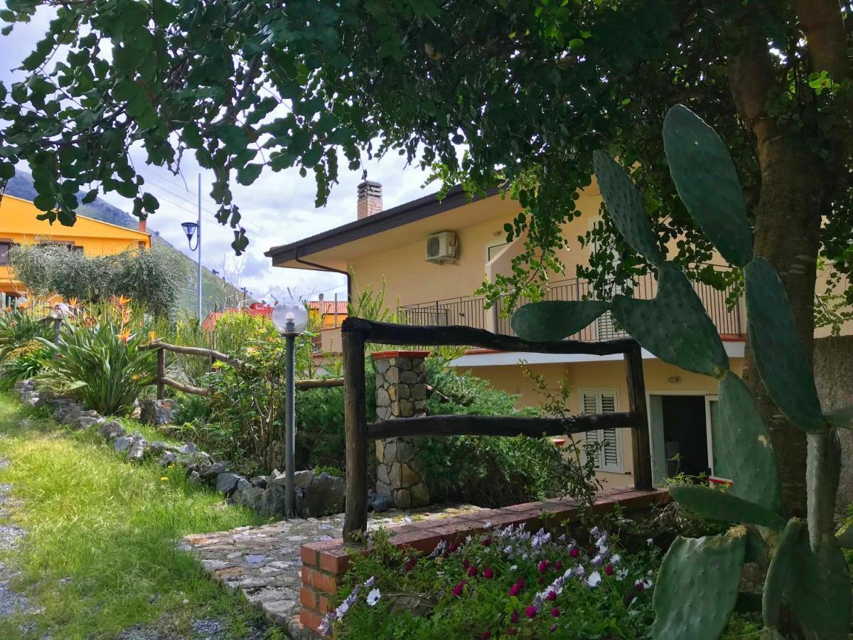 B&B Villa Degli Ulivi Praia a Mare Kültér fotó