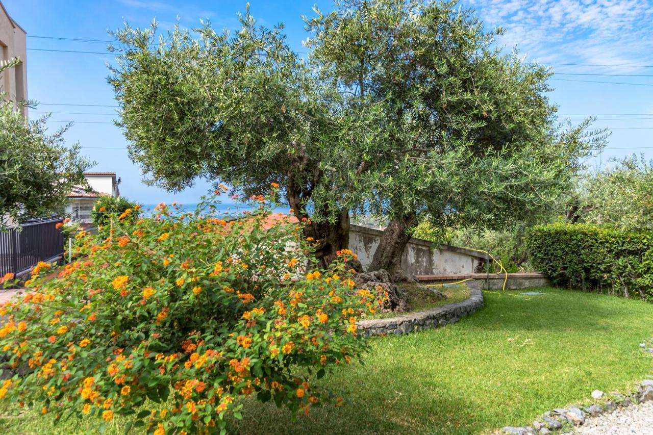 B&B Villa Degli Ulivi Praia a Mare Kültér fotó
