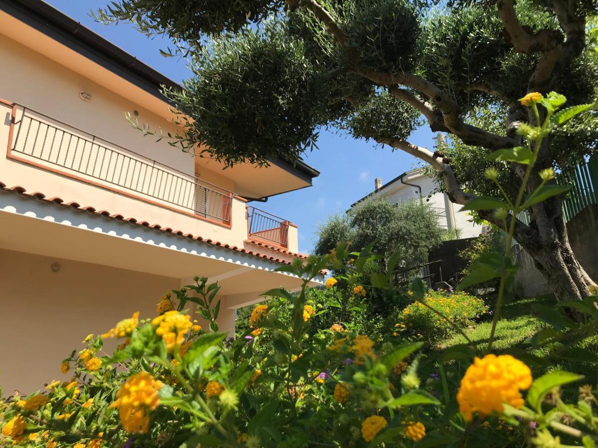 B&B Villa Degli Ulivi Praia a Mare Kültér fotó