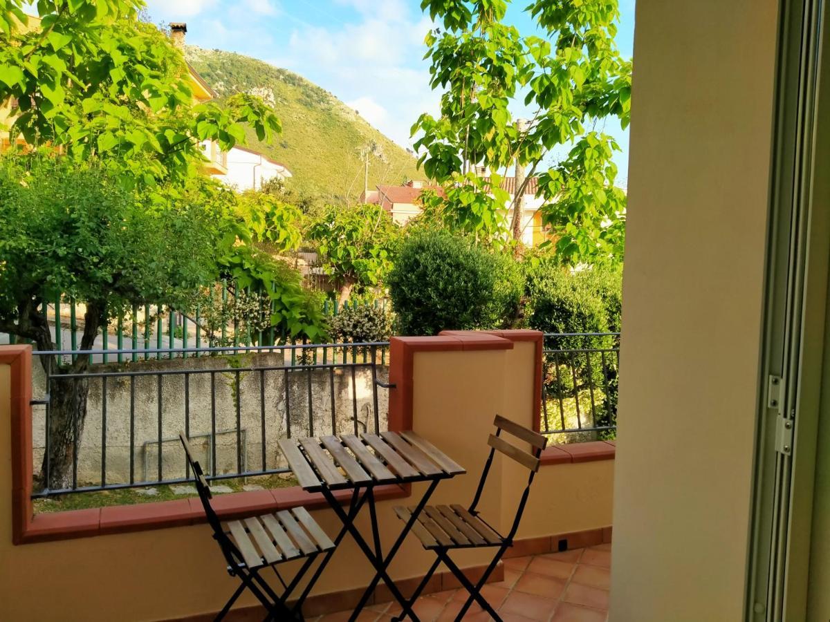 B&B Villa Degli Ulivi Praia a Mare Kültér fotó